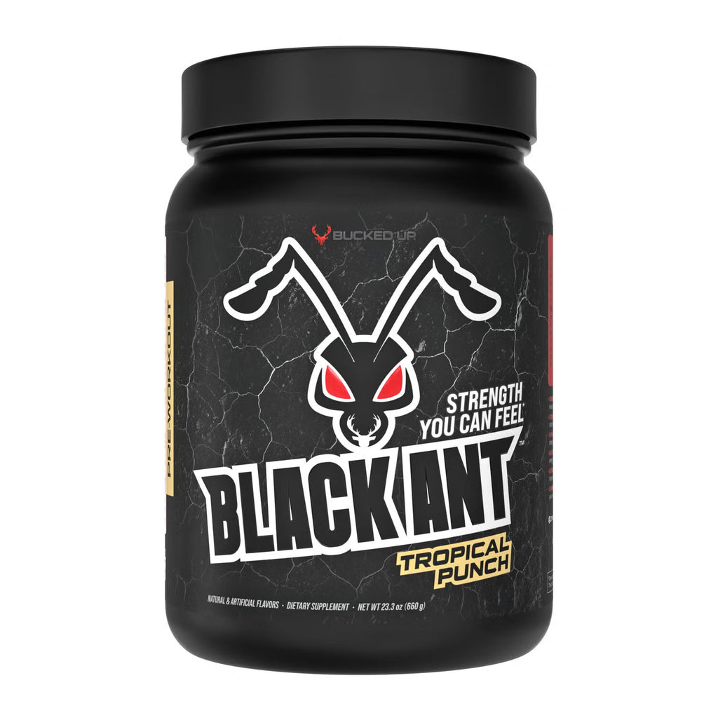 Black Ant