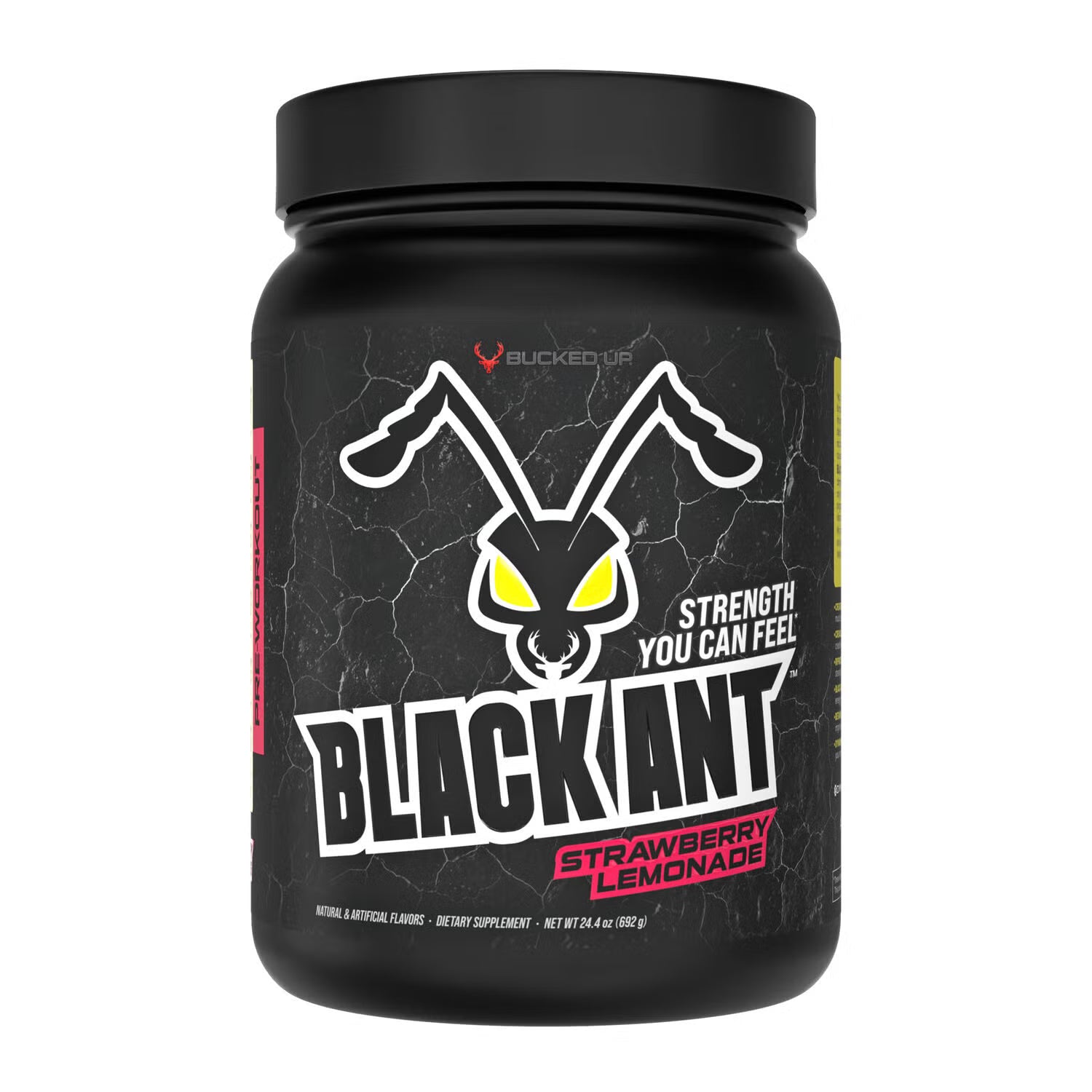 Black Ant